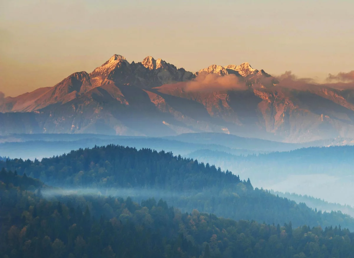 Sprawozdanie CBAM: Kluczowe Wnioski i Wytyczne dla Przemysłu w Era Zrównoważonego Rozwoju