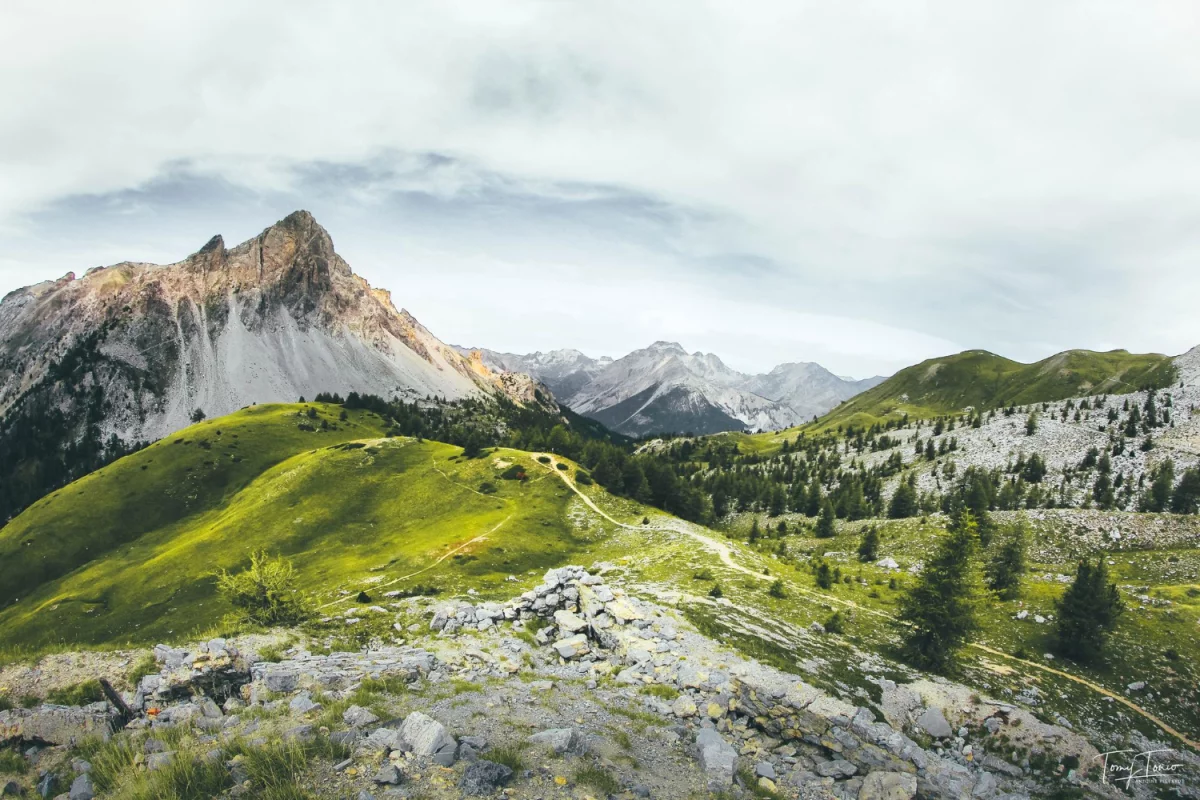 Skuteczne Metody na Wyjście z Uzależnienia: Detoks Alkoholowy Warszawa